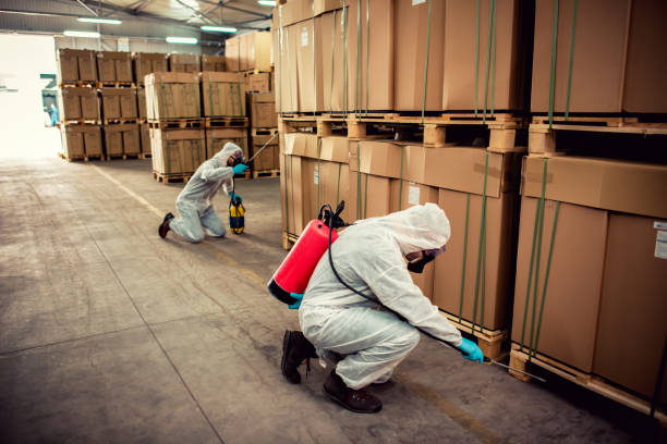 Best Pest Inspection Near Me  in Milan, NM