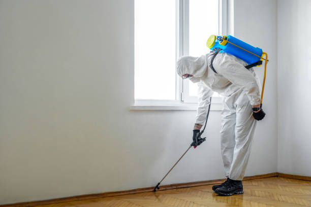 Best Local Pest Control Services  in Milan, NM