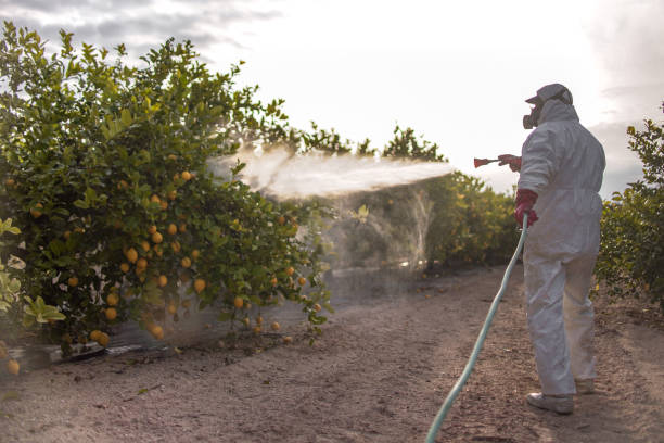 Milan, NM Pest Control Company