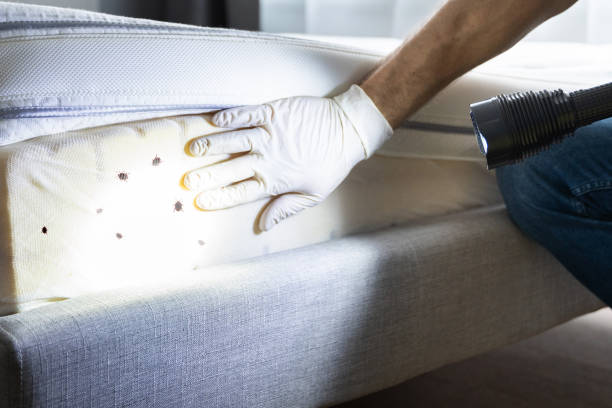 Best Exterminator Services  in Milan, NM