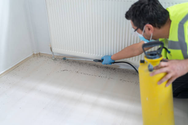 Best Pest Removal Services  in Milan, NM