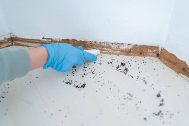 Best Residential Pest Control  in Milan, NM